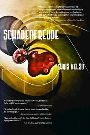 Cover for Chris Kelso · Schadenfreude (Paperback Book) (2013)