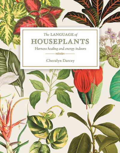 The Language of Houseplants: Harness Healing and Energy in the Home - Cheralyn Darcey - Books - Rockpool Publishing - 9781925924398 - June 6, 2020