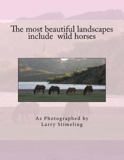 Cover for Larry Stimeling · The most beautiful landscapes include wild horses (Paperback Book) (2017)