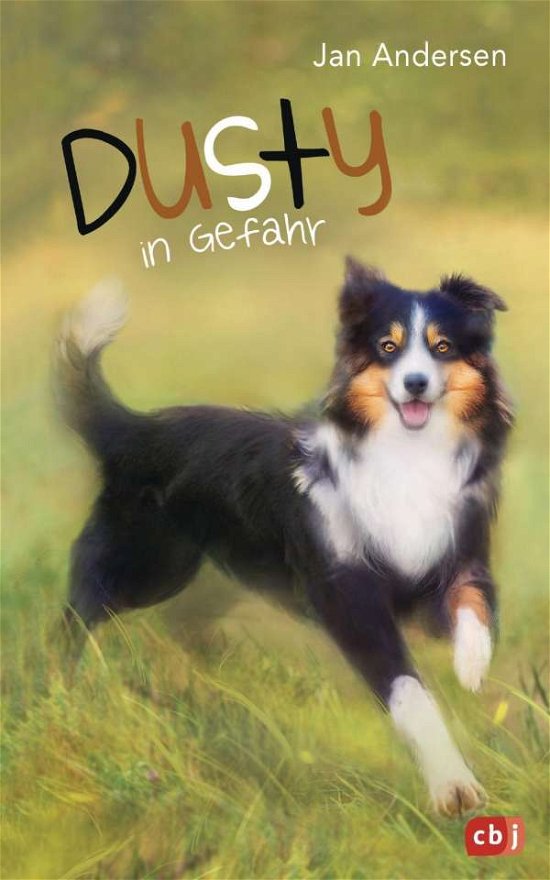 Cover for Andersen · Dusty in Gefahr (Buch)
