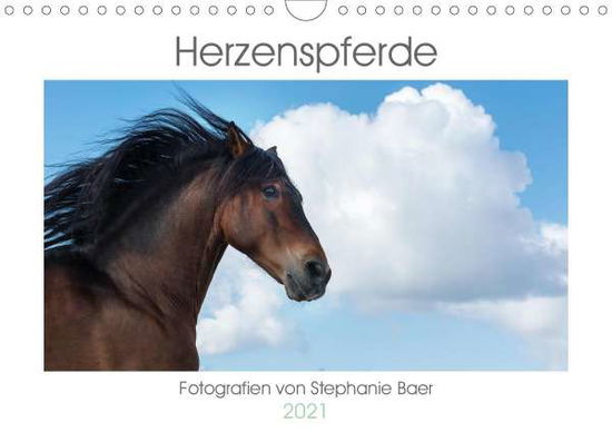 Cover for Baer · Herzenspferde 2021 (Wandkalender 2 (Book)