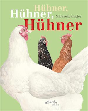 Cover for Michaela Ziegler · Hühner, Hühner, Hühner (Hardcover Book) (2022)