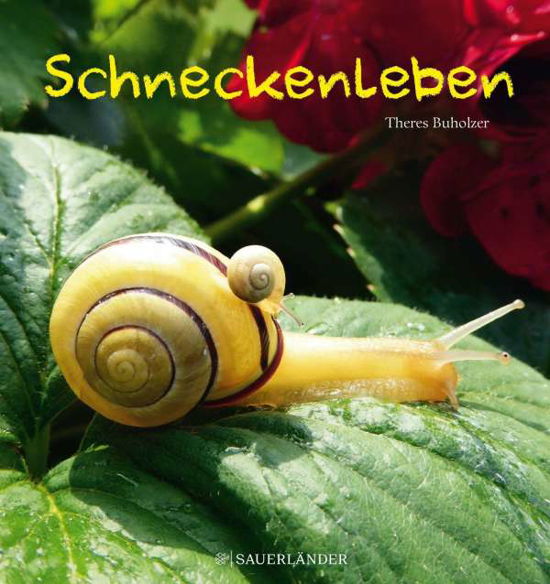 Cover for Buholzer · Schneckenleben (Buch)