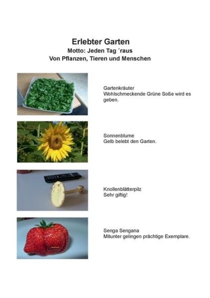 Cover for Guth · Erlebter Garten (Bog) (2019)