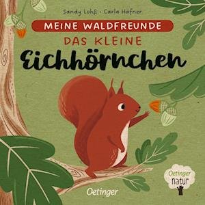 Cover for Carla Häfner · Meine Waldfreunde. Das kleine Eichhörnchen (Book) (2022)