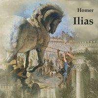 Cover for Homer · Ilias,MP3-CD (Buch)