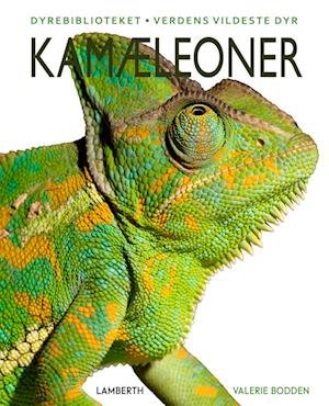 Cover for Kate Riggs · Kamæleoner (Bound Book) [1º edição] (2023)
