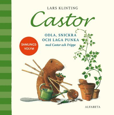 Cover for Lars Klinting · Castor: Castor. Odla, snickra och laga punka med Castor och Frippe (Bound Book) (2017)