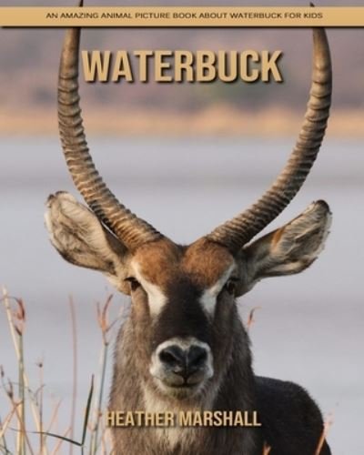 Cover for Heather Marshall · Waterbuck: An Amazing Animal Picture Book about Waterbuck for Kids (Taschenbuch) (2021)