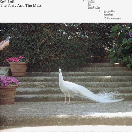 Cover for Soft Loft · The Party And The Mess (LP) (2024)