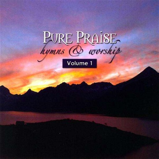 Pure Praise Hymns & Worship 1 - Mt Carmel Worship - Muziek - CD Baby - 0884501218399 - 27 oktober 2009