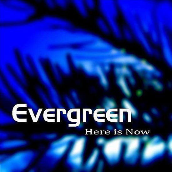 Cover for Evergreen · Here is Now (CD) (2010)