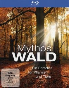 Cover for Mythos Wald (Blu-ray) (2011)