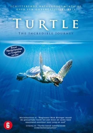 Cover for Turtle · The incredible journey (DVD) (2010)
