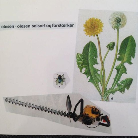Cover for Olesen-olesen · Solsort og Forstaerker (LP) (2021)