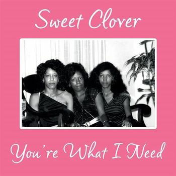 Cover for Sweet Clover · You're What I Need (LP) [Reissue edition] (2022)