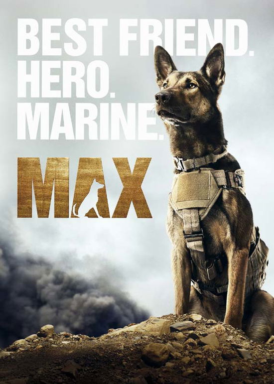 Cover for Max (DVD) (2015)