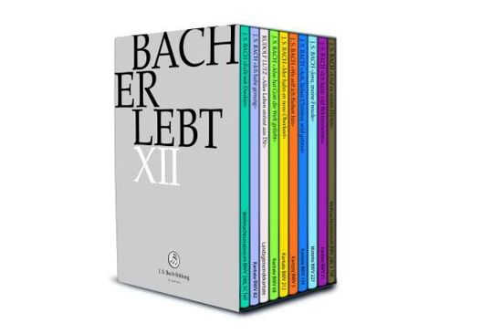 Cover for J.S.Bach-Stiftung / Lutz / Enzensberger/+ · Bach Erlebt XII (DVD) (2019)