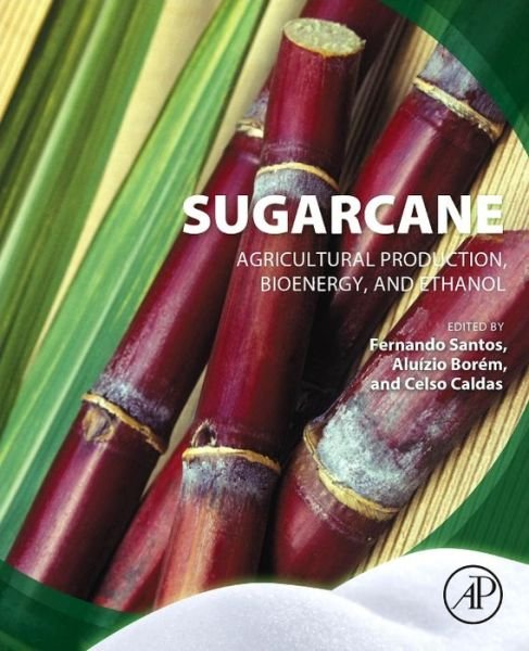 Cover for Borem · Sugarcane: Agricultural Production, Bioenergy and Ethanol (Pocketbok) (2015)