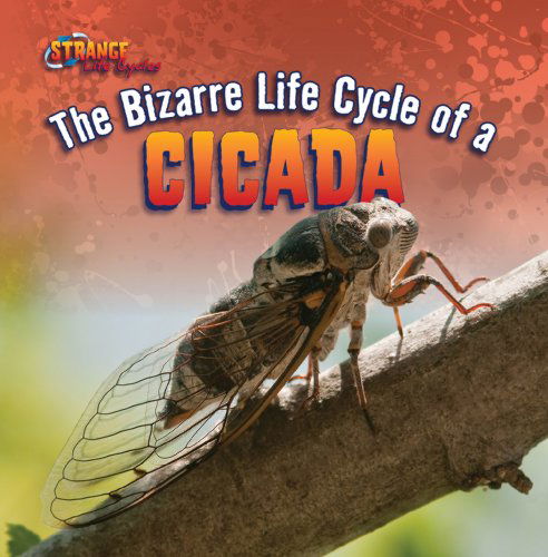 Cover for Greg Roza · The Bizarre Life Cycle of a Cicada (Strange Life Cycles (Gareth Stevens)) (Hardcover Book) (2012)