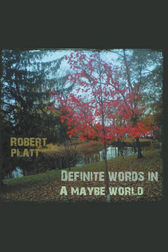 Cover for Robert Platt · Definite Words in a Maybe World (Paperback Book) (2011)