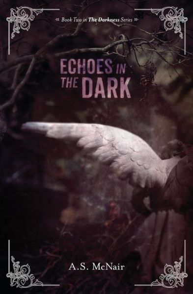 Cover for A S Mcnair · Echoes in the Dark: Book Two in the Darkness Series (Paperback Book) (2013)