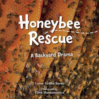 Cover for Loree Griffin Burns · Honeybee Rescue: A Backyard Drama (Hardcover Book) (2022)