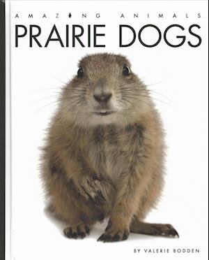 Cover for Valerie Bodden · Prairie Dogs (Hardcover bog) (2019)