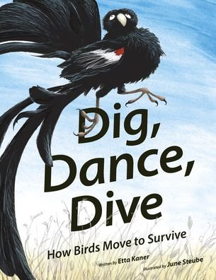 Dig, Dance, Dive - Etta Kaner - Books - Owlkids Books Inc. - 9781771474399 - June 21, 2022