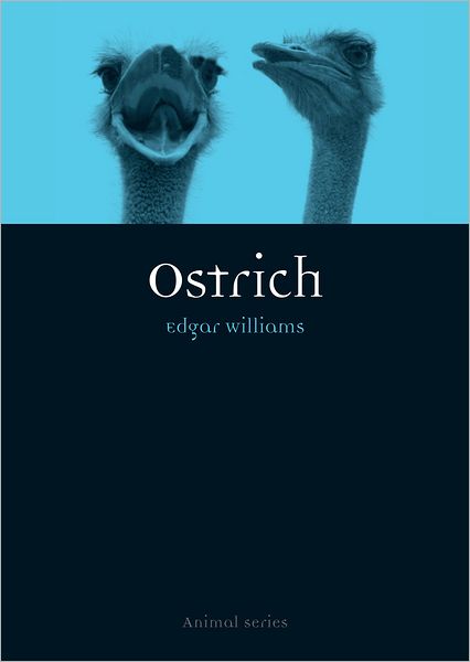 Cover for Edgar Williams · Ostrich - Animal Series (Paperback Book) (2013)