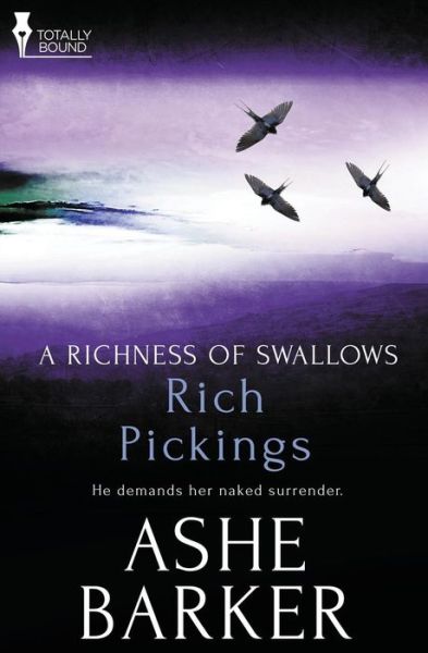 Cover for Ashe Barker · Rich Pickings (A Richness of Swallows) (Volume 2) (Pocketbok) (2014)