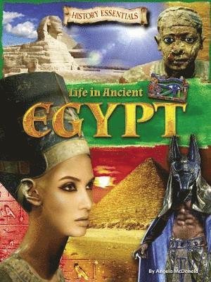 Cover for Angela McDonald · Life in Ancient Egypt - History Essentials (Pocketbok) (2019)