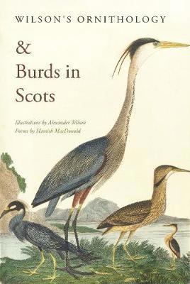 Cover for Hamish MacDonald · Wilson's Ornithology and Burds in Scots (Paperback Book) (2020)