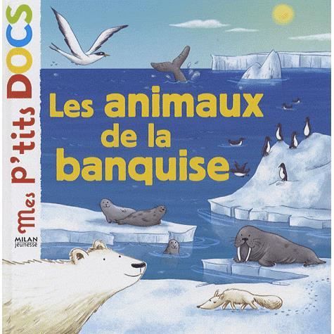 Cover for Stephanie Ledu · Mes p'tits docs / Mes docs animes: Les animaux de la banquise (Hardcover Book) (2008)