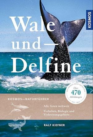 Cover for Ralf Kiefner · Wale und Delfine (Bog) (2023)