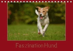 Cover for Bischof · Faszination Hund (Tischkalender (Book)