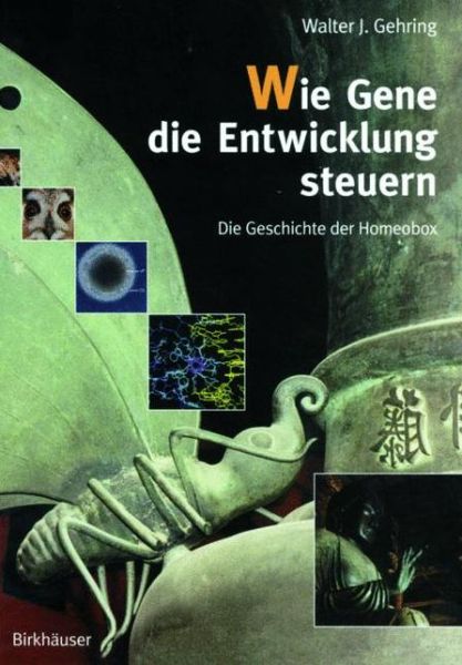 Wie Gene Die Entwicklung Steuern: Die Geschichte Der Homeobox - Dr Walter J Gehring - Książki - Birkhauser Verlag AG - 9783764360399 - 1 listopada 2000