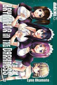 Cover for Okamoto · Brynhildr in the Darkness.Bd.12 (Buch)