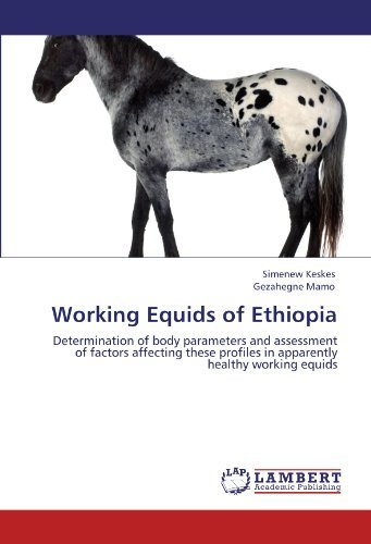 Cover for Gezahegne Mamo · Working Equids of Ethiopia: Determination of Body Parameters and Assessment of Factors Affecting These Profiles in Apparently Healthy Working Equids (Pocketbok) (2011)