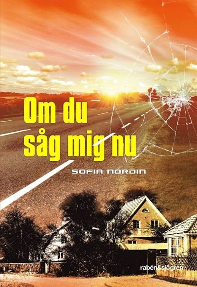 Cover for Sofia Nordin · Om du såg mig nu (ePUB) (2017)
