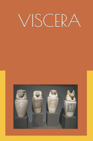 Cover for Alaaeldin Hamada · The Viscera: Ancient Egyptian Internal Medicine - Ancient Egyptian Medicine (Paperback Book) (2021)