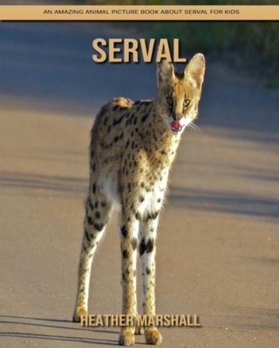 Cover for Heather Marshall · Serval: An Amazing Animal Picture Book about Serval for Kids (Pocketbok) (2021)