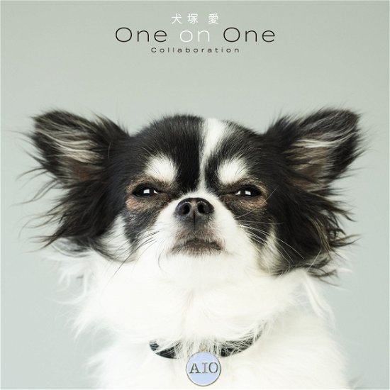 Cover for Ai Otsuka · Inutsuka Ai One On One Co (CD) [Japan Import edition] (2021)