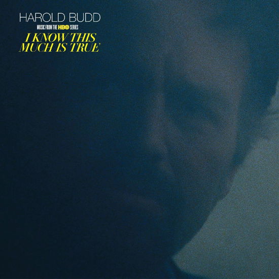 I Know This Much Is True - Music From The Hbo Series - Harold Budd - Musiikki - WARP - 5060263723400 - perjantai 12. elokuuta 2022