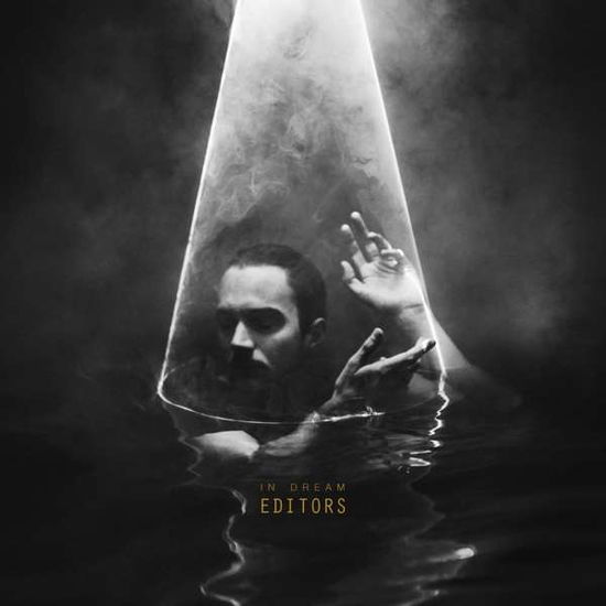 Cover for Editors · In Dream (VINIL) (2015)