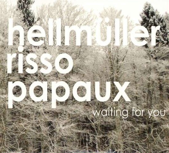 Hellmüller Risso Papaux · Waiting for you (CD) (2013)