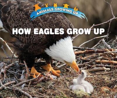 Cover for Heather Moore Niver · How Eagles Grow Up (Paperback Book) (2018)