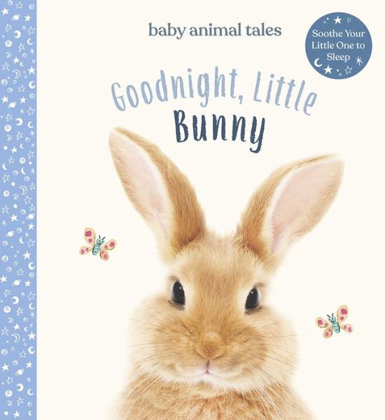 Cover for Amanda Wood · Goodnight Little Bunny (Book) (2021)