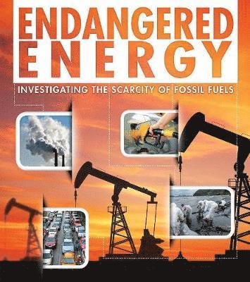 Cover for Rani Iyer · Endangered Energy - Investigating the Scarcity of Fossil Fuels (Hardcover Book) (2019)