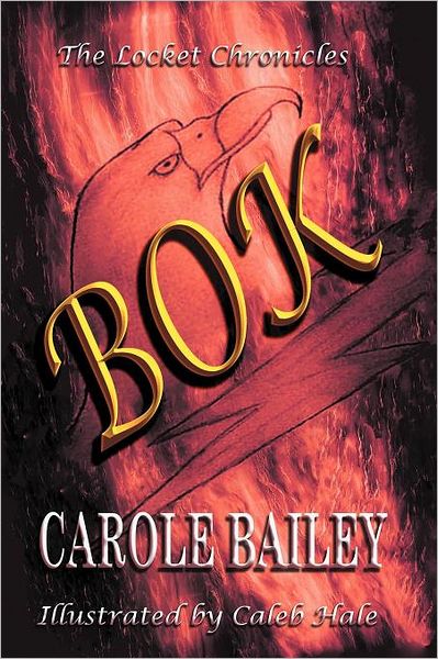 Cover for Carole Bailey · The Locket Chronicles: Bok (Paperback Book) (2012)